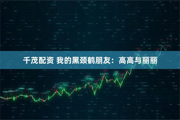 千茂配资 我的黑颈鹤朋友：高高与丽丽