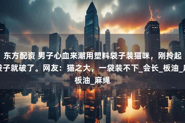 东方配资 男子心血来潮用塑料袋子装猫咪，刚拎起来袋子就破了。网友：猫之大，一袋装不下_会长_板油_麻绳