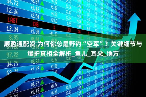 顺盈通配资 为何你总是野钓“空军”？关键细节与爆护真相全解析_鱼儿_耳朵_地方