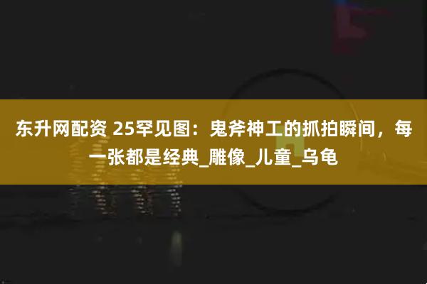 东升网配资 25罕见图：鬼斧神工的抓拍瞬间，每一张都是经典_雕像_儿童_乌龟
