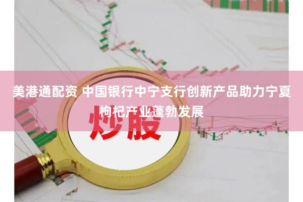 美港通配资 中国银行中宁支行创新产品助力宁夏枸杞产业蓬勃发展