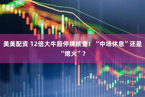 美美配资 12倍大牛股停牌核查！“中场休息”还是“熄火”？