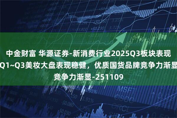 中金财富 华源证券-新消费行业2025Q3板块表现总结：25Q1~Q3美妆大盘表现稳健，优质国货品牌竞争力渐显-251109
