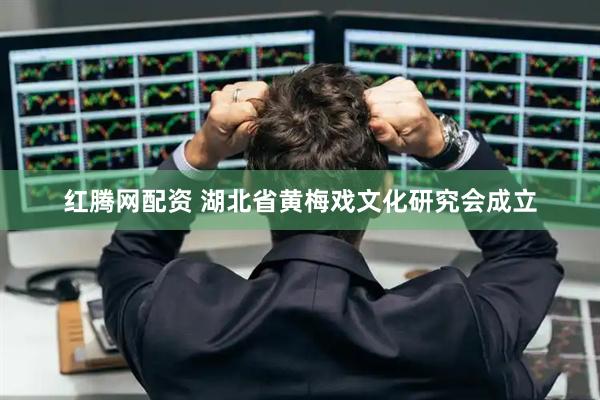 红腾网配资 湖北省黄梅戏文化研究会成立