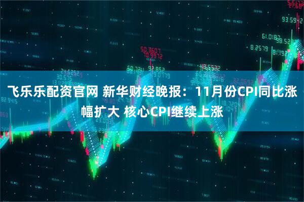 飞乐乐配资官网 新华财经晚报：11月份CPI同比涨幅扩大 核心CPI继续上涨